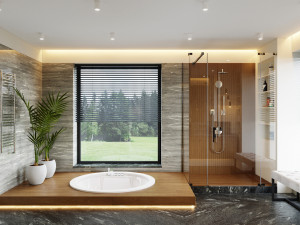 modern bathroom interior scene 3D Модель