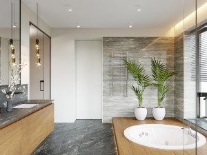 modern bathroom interior scene 3D Модель