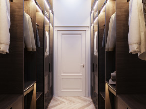 stylish wardrobe 3D Модель