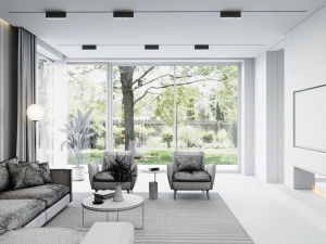 living room and kitchen scene 3D Model
