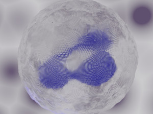 granulocyte Modelo 3D