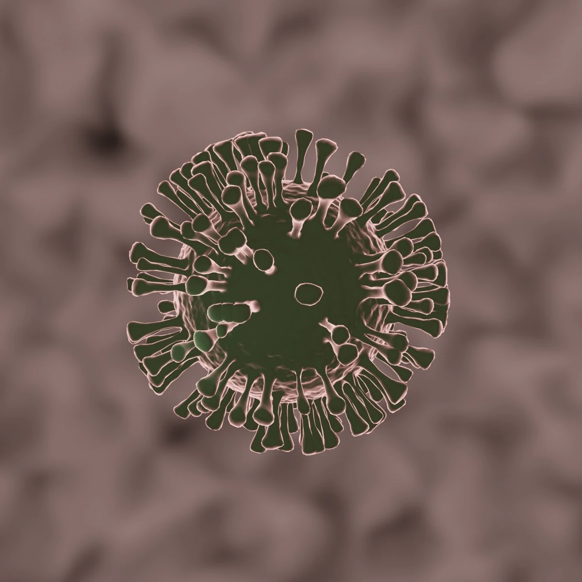 coronavirus the sars-cov-2 3D Model .c4d .max .obj .3ds .fbx .stl .blend