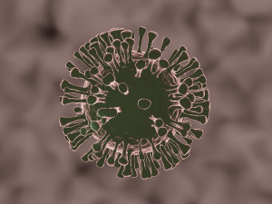 coronavirus the sars-cov-2 3D Model