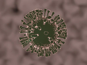 coronavirus de sars-cov-2 3D Model