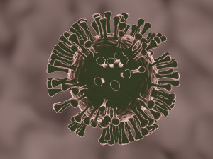 coronavirus the sars-cov-2 3D Model