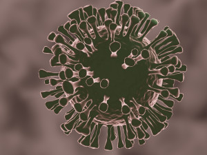 coronavirus the sars-cov-2 3D Model