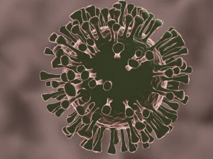 coronavirus the sars-cov-2 3D Model