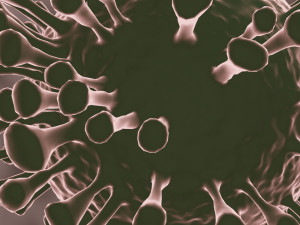 coronavirus the sars-cov-2 3D Model