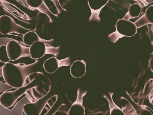 coronavirus the sars-cov-2 3D Model