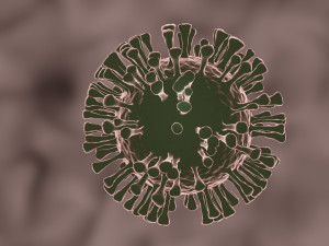 coronavirus the sars-cov-2 3D Model