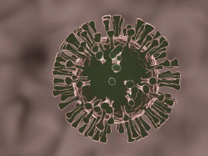 coronavirus the sars-cov-2 3D Model