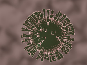 coronavirus the sars-cov-2 3D Model