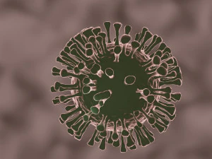 coronavirus the sars-cov-2 3D Model