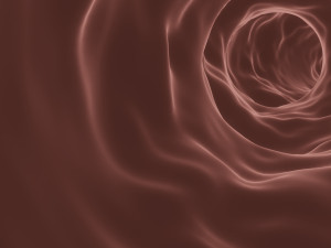 blood vessel or blood capillary 3D Model