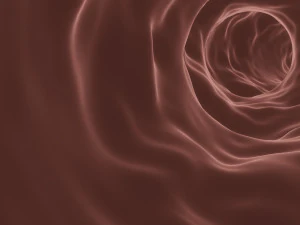 vaso sanguigno o capillare sanguigno Modello 3D