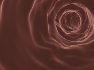 blood vessel or blood capillary 3D Модель