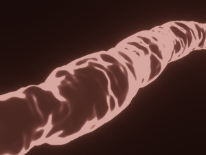 blood vessel or blood capillary 3D Модель