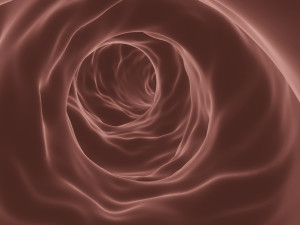 blood vessel or blood capillary 3D Модель