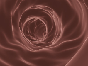 blood vessel or blood capillary 3D Модель