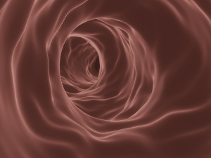 blood vessel or blood capillary 3D Модель