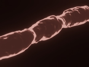 blood vessel or blood capillary 3D Модель