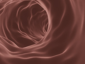 blood vessel or blood capillary 3D Модель