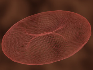 3d red blood cell or rbc model Modèle 3D
