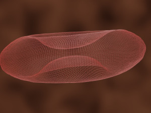 3d red blood cell or rbc model Modèle 3D
