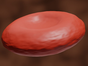 3d red blood cell or rbc model 3D Model