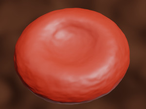 3d red blood cell or rbc model Modèle 3D