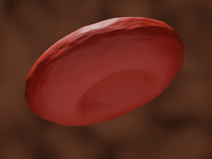 3d red blood cell or rbc model Modèle 3D