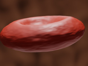 3d red blood cell or rbc model Modèle 3D