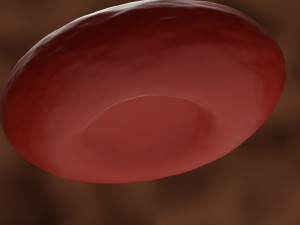 3d red blood cell or rbc model Modèle 3D
