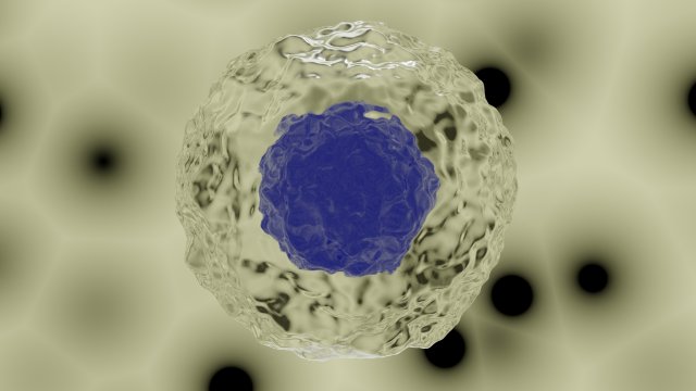 cell model Modelo 3D .c4d .max .obj .3ds .fbx .stl .blend 