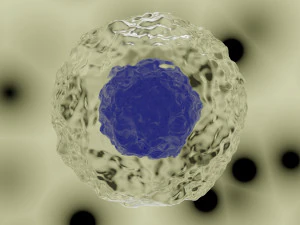 세포 모델 3D 모델