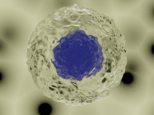 cell model Modelo 3D