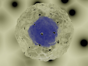cell model Modelo 3D