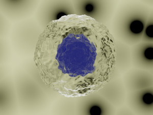 cell model Modelo 3D