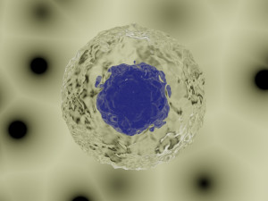 cell model Modelo 3D