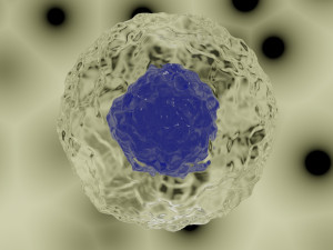 cell model Modelo 3D