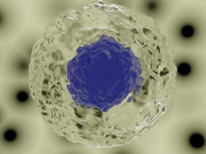 cell model Modelo 3D
