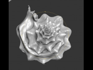 shell Model 3D