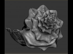 shell Model 3D