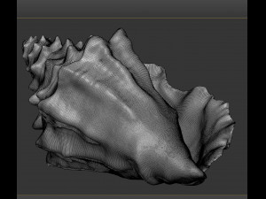 shell Model 3D