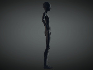 alien Model 3D
