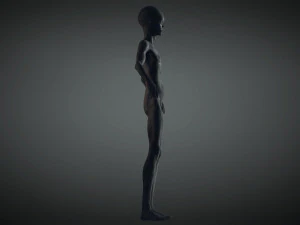 інопланетянин 3D Модель