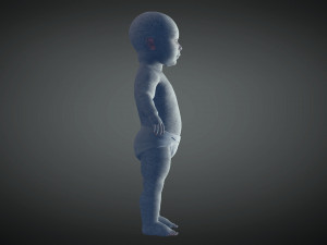 baby haunt 3D Модель