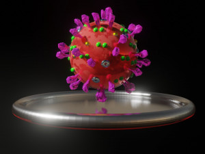 covid-19sars-cov-2 3D Model