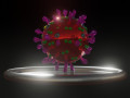 covid-19sars-cov-2 3D Model