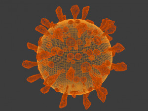 covid-19sars-cov-2 3D Model